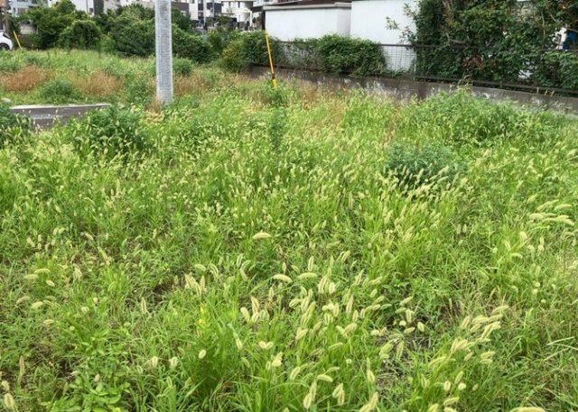土地の面積＝住宅面積ではありません。建ぺい率の問題などで、土地のある場所によって住宅を建てられる面積は限られています。高さもしかり、「土地」という言葉の中には、建築条件も含まれると考えておきましょう。