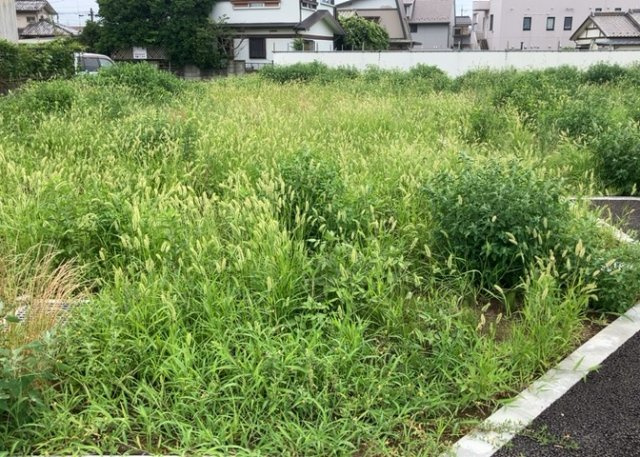 土地の前の道路に消火栓が設置されていることがあります。この場合、道路交通法第45条第1項により、駐車禁止の場所が指定されています。そのため、車庫などの駐車スペースをつくることができない場合があります。