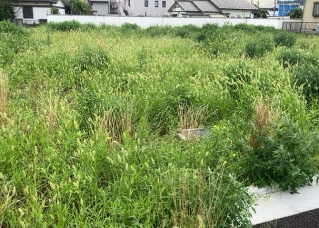 土地探しをしていると都市計画区域という言葉を目にすると思います。法律によって、都道府県知事や国土交通大臣が指定するエリアのことを指しており、都市計画区域は市街化区域と市街化調整区域に分けられています。