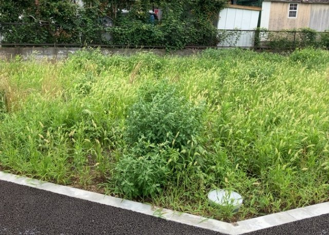 現地に行くなら、物件の周囲の地形がどうなっているかを見ることも大切です。周辺より低くなっている土地では、大雨などで水が集まりやすいため、地盤が弱くなっているということも考えられるため、注意が必要です。