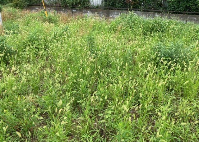 隣家の土地はどうなっているのか、生活利便施設が近くにあるのか、学校まで近いかなど、お客様のライフスタイルにあわせたイメージが重要です。また、近くにあると困る施設が近くにないかも確認するといいでしょう。