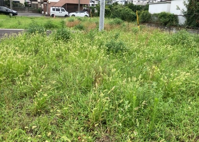家を建てる前提で土地を探している場合、地盤の丈夫さは譲れない条件の一つです。地盤が脆弱だと追加工事が必要となります。また、過去に地盤沈下や液状化現象を起こした土地は、できるだけ避けた方がいいでしょう。