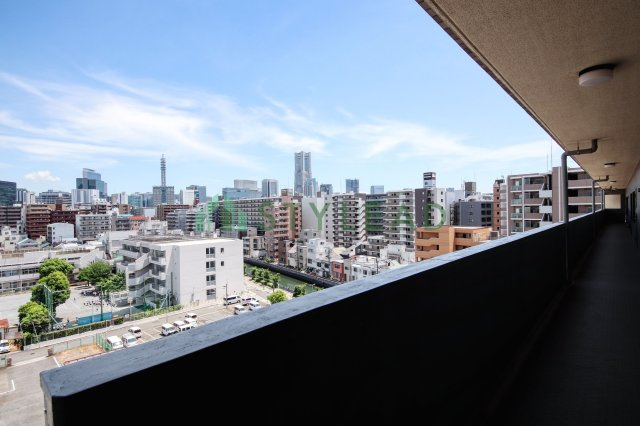 展望