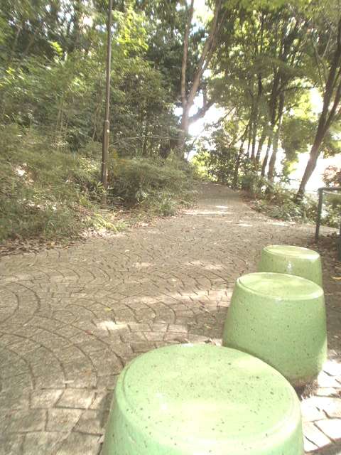 棟の横にはお散歩におススメの緑溢れるえびね公園もあります
