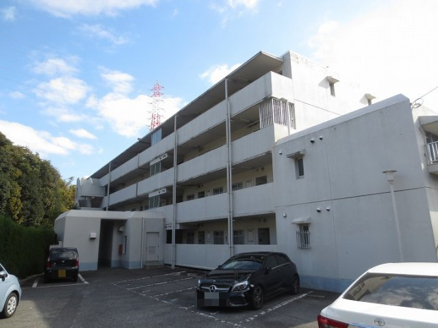 外観：334000240419