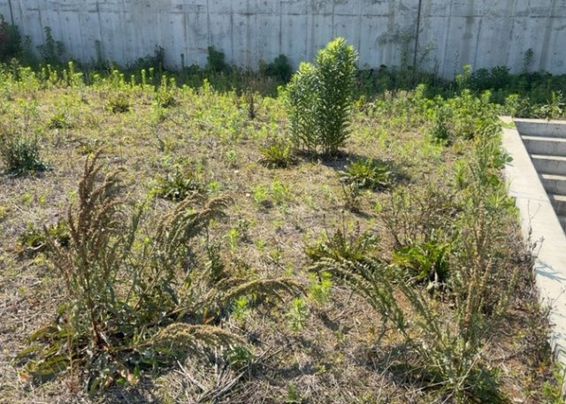土地の形が極端に長細かったり、狭小地、あるいは道路との高低差がある傾斜地だった場合、後々売ろうとしても買い手がつかない場合もあります。後々、売却することになった時に価値の下がらない土地を選びましょう。