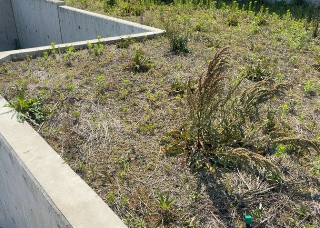 土地の面積＝住宅面積ではありません。建ぺい率の問題などで、土地のある場所によって住宅を建てられる面積は限られています。高さもしかり、「土地」という言葉の中には、建築条件も含まれると考えておきましょう。