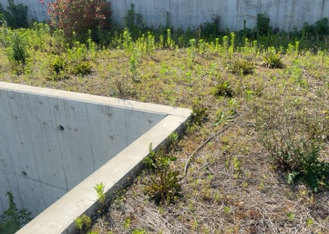 土地を買う際、住む地域の自治体や福祉の補助制度にも注目してみましょう。子供や老人の医療補助やゴミ出しのルールなど、自治体によってルールに大きな違いがあるため、暮らしやすい土地で判断するとよいでしょう。