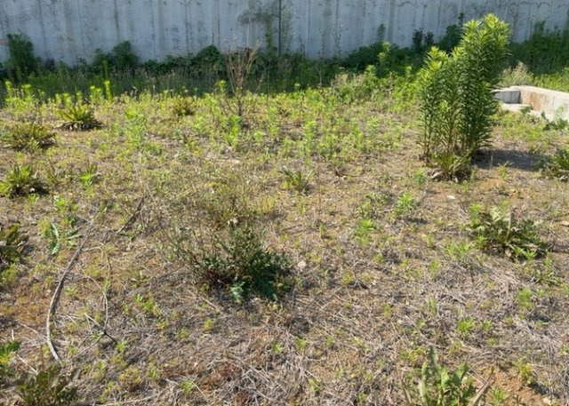 土地の前の道路に消火栓が設置されていることがあります。この場合、道路交通法第45条第1項により、駐車禁止の場所が指定されています。そのため、車庫などの駐車スペースをつくることができない場合があります。