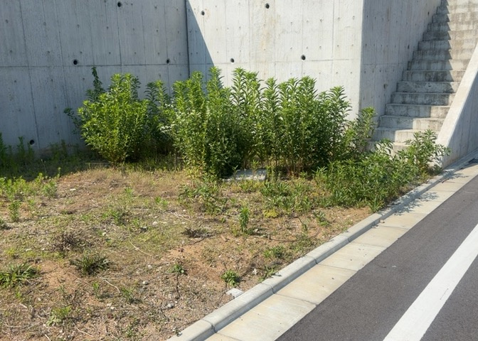 隣家の土地はどうなっているのか、生活利便施設が近くにあるのか、学校まで近いかなど、お客様のライフスタイルにあわせたイメージが重要です。また、近くにあると困る施設が近くにないかも確認するといいでしょう。