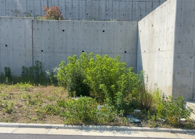 家を建てる前提で土地を探している場合、地盤の丈夫さは譲れない条件の一つです。地盤が脆弱だと追加工事が必要となります。また、過去に地盤沈下や液状化現象を起こした土地は、できるだけ避けた方がいいでしょう。