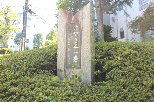 重厚感がありますね
