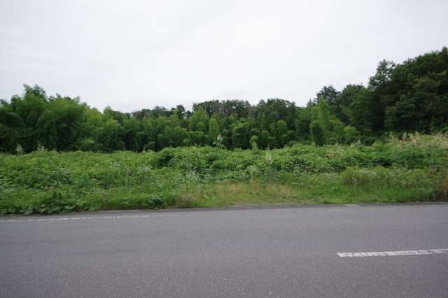 外観：309000070885