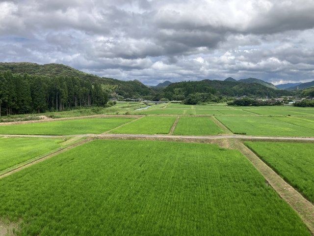 展望