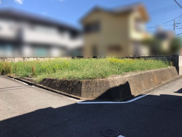 外観：330000084364