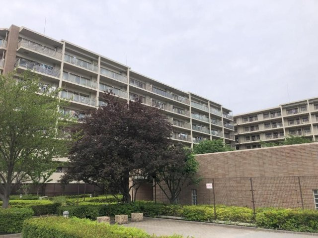 外観：313004663757