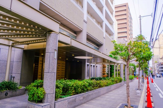 【周辺】マンション周辺の歩道もきれいに整備・管理されています！気持ちの良い並木道！