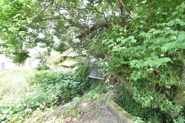 外観：346000031856