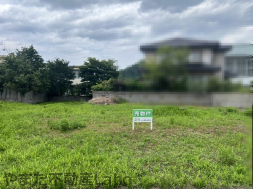 外観：331000016878