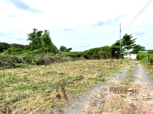 【下大沼 土地の外観】