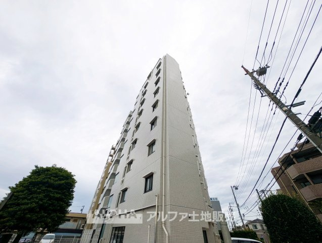 外観：313004776699