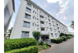 みさと団地8街区5号棟の外観