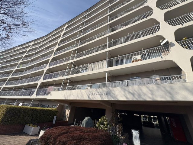 外観：311002306876