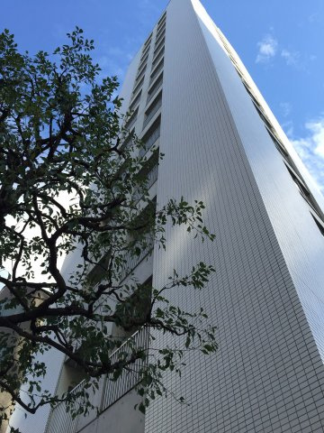 外観：313004667649