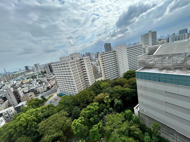展望