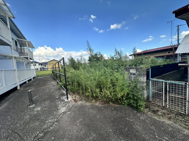 外観：309000077444