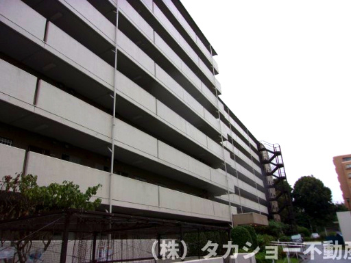 外観：312001187250