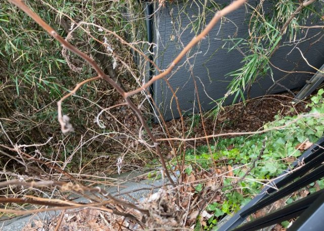 庭があることでガーデニングや家庭菜園はもちろん、こどもの遊び場やペットを放して遊ぶことができます。また、家の周囲に余裕があるということです。隣地との間があれば、十分な日当たりと、風通しが確保できます。