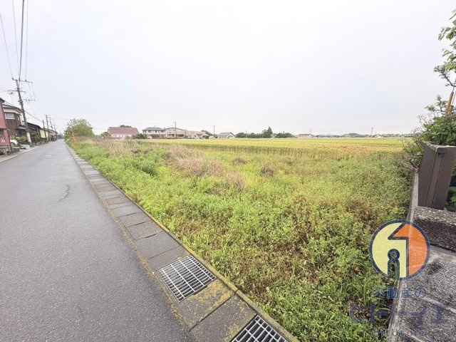 外観：340000290575