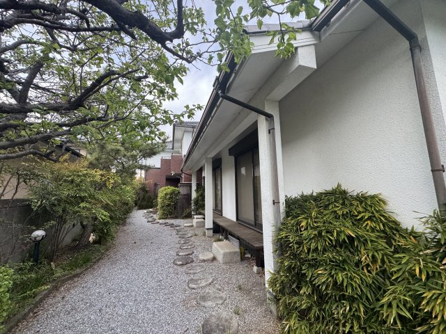 庭