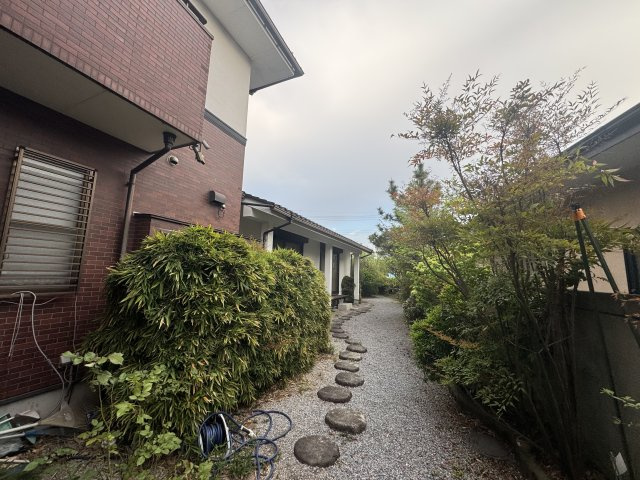 庭