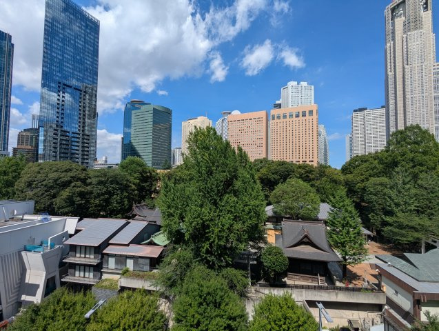 展望