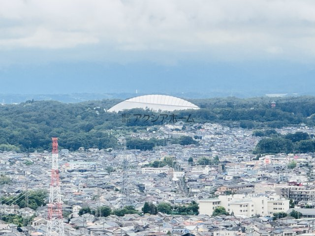 展望