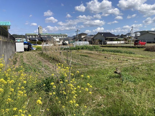 展望