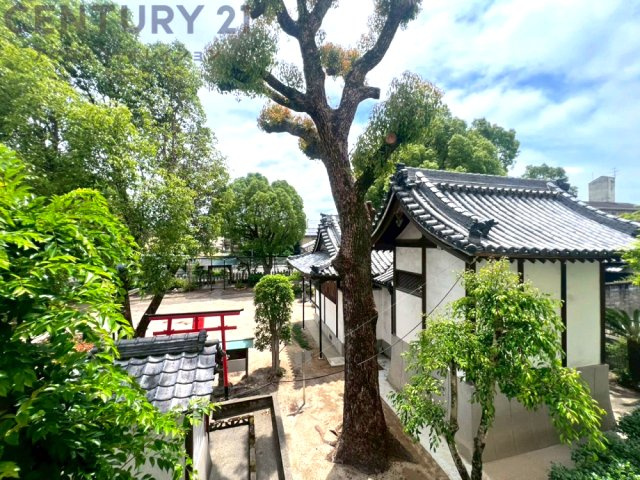 物件からの展望