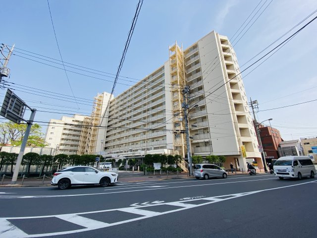 外観：313004666693