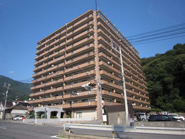外観：334000260584