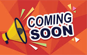 外観：334000235339