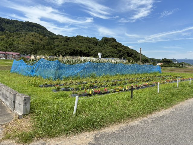 外観：346000044717