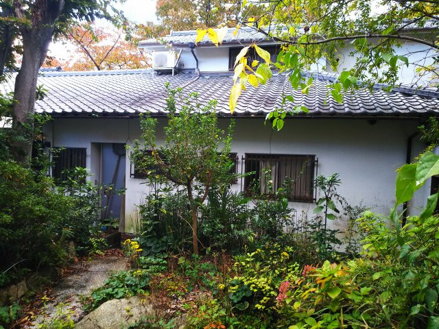 外観：328000579701