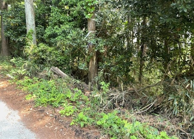 土地を買う際、住む地域の自治体や福祉の補助制度にも注目してみましょう。子供や老人の医療補助やゴミ出しのルールなど、自治体によってルールに大きな違いがあるため、暮らしやすい土地で判断するとよいでしょう。
