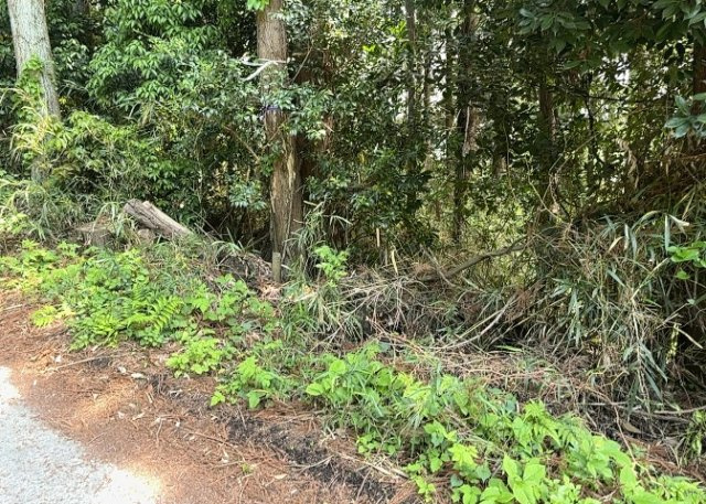 土地の前の道路に消火栓が設置されていることがあります。この場合、道路交通法第45条第1項により、駐車禁止の場所が指定されています。そのため、車庫などの駐車スペースをつくることができない場合があります。