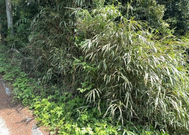 現地に行くなら、物件の周囲の地形がどうなっているかを見ることも大切です。周辺より低くなっている土地では、大雨などで水が集まりやすいため、地盤が弱くなっているということも考えられるため、注意が必要です。