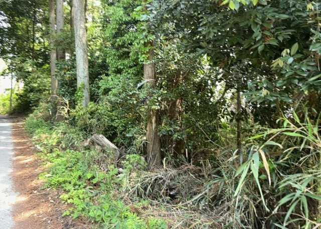 隣家の土地はどうなっているのか、生活利便施設が近くにあるのか、学校まで近いかなど、お客様のライフスタイルにあわせたイメージが重要です。また、近くにあると困る施設が近くにないかも確認するといいでしょう。