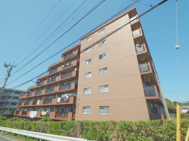 外観：314002568364