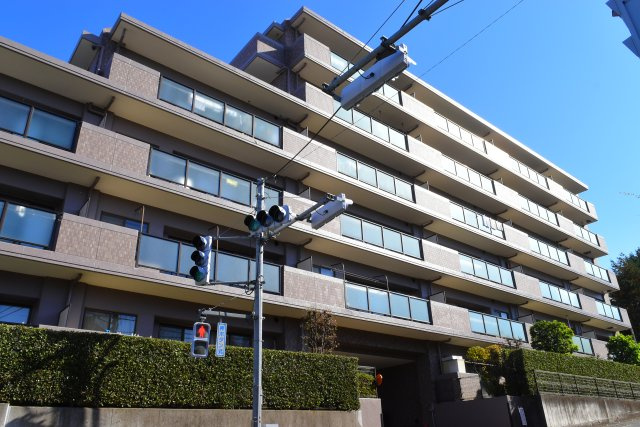 外観：313004519573